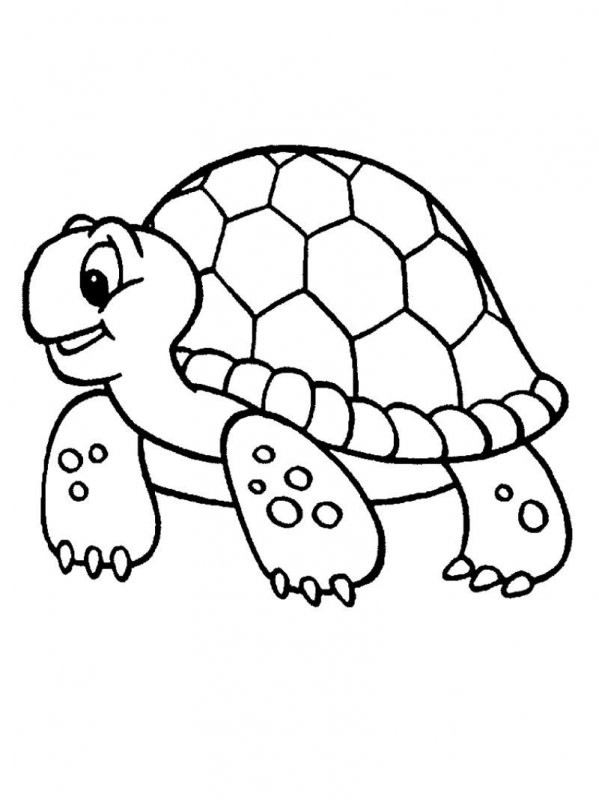 Tartaruga · 15, disegno da stampare e colorare