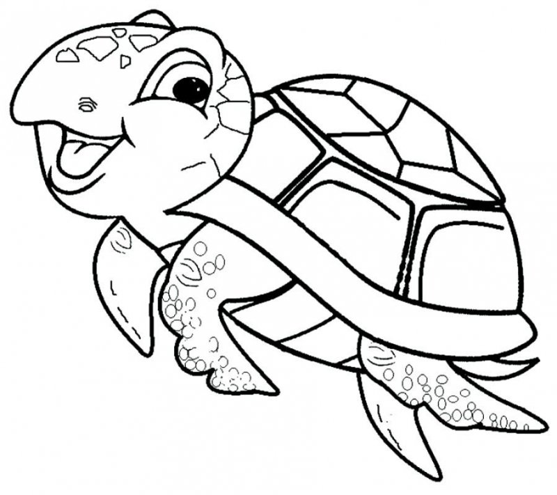 Tartaruga · 29, disegno da colorare