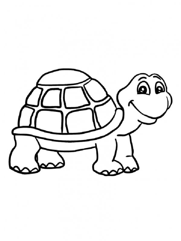 Tartaruga · 28, disegno da colorare