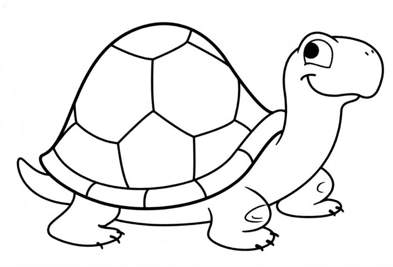 Tartaruga · 26, disegno da stampare e colorare