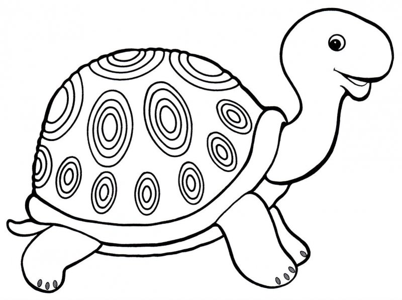 Tartaruga · 20, disegno da stampare e colorare