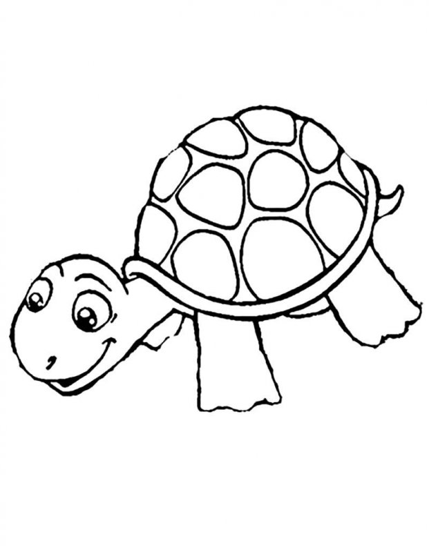 Tartaruga · 11, disegno da stampare e colorare