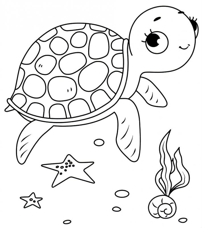 Tartaruga · 14, disegno da colorare