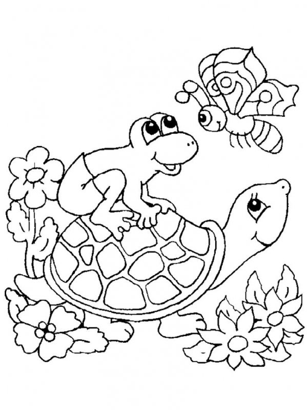 Tartaruga · 13, disegno da stampare e colorare