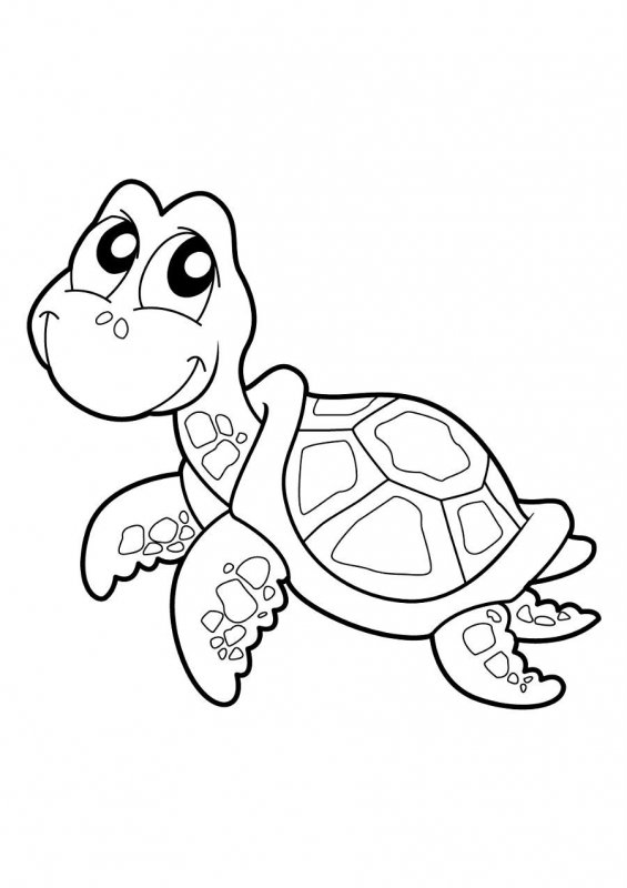 Tartaruga · 12, disegno da colorare