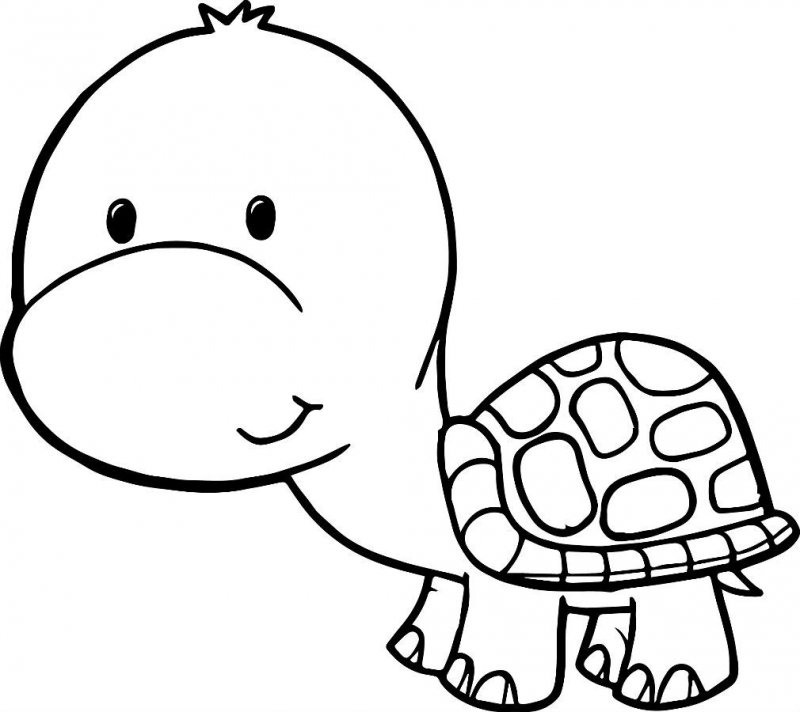 Tartaruga · 10, disegno da colorare
