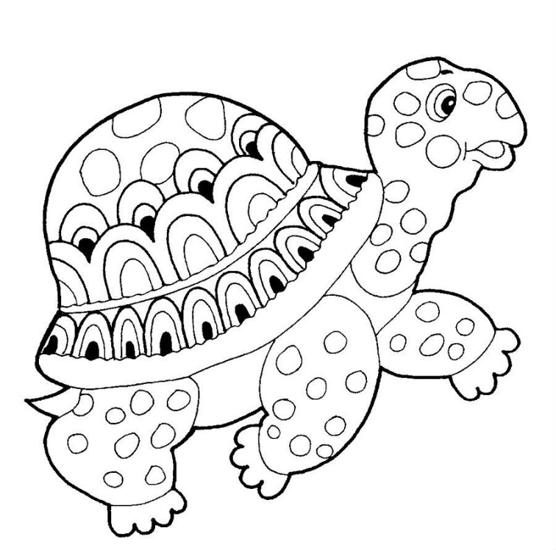 Tartaruga · 9, disegno da stampare e colorare