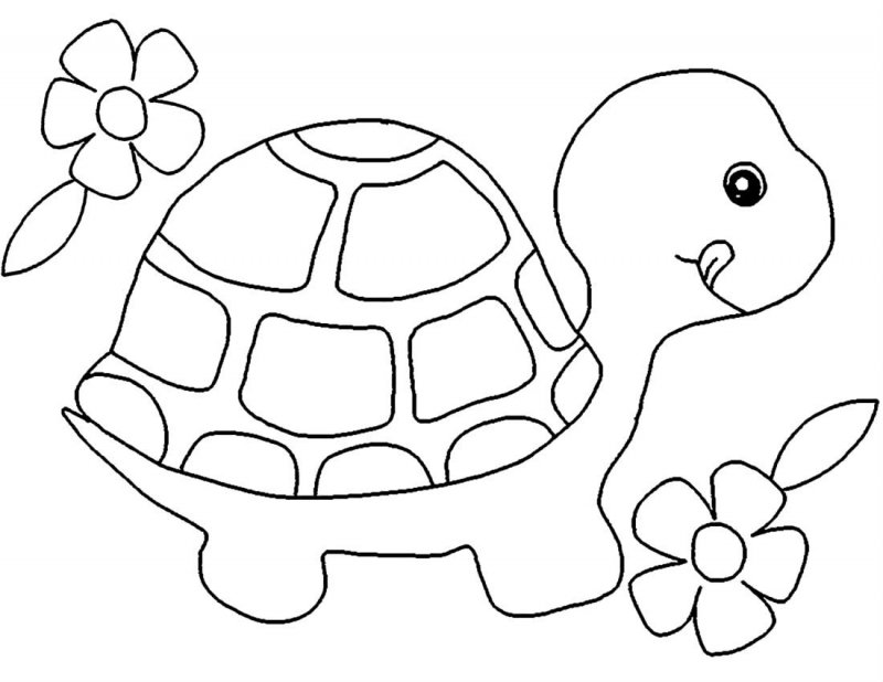 Tartaruga · 7, disegno da colorare