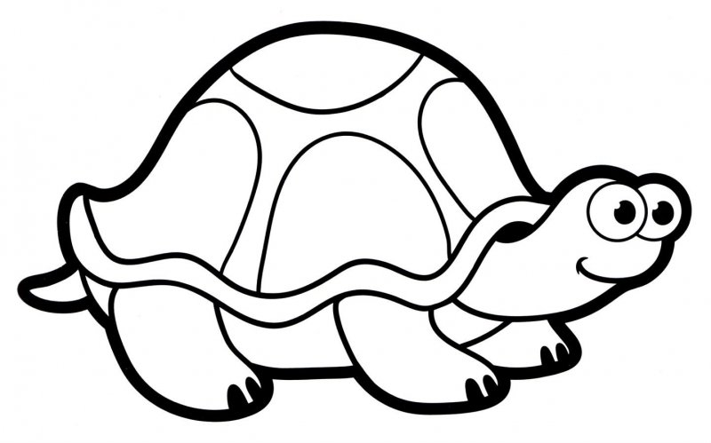 Tartaruga · 4, disegno da stampare e colorare