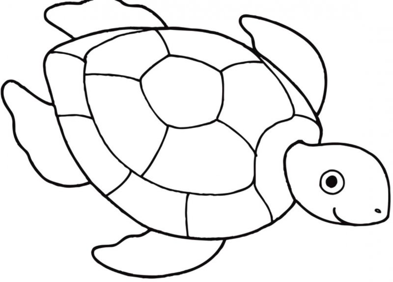 Tartaruga · 2, disegno da stampare e colorare