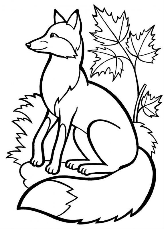 Volpe · 13, disegno da stampare e colorare