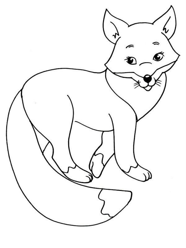 Volpe · 14, disegno da stampare e colorare