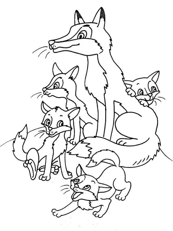Volpe · 25, disegno da stampare e colorare