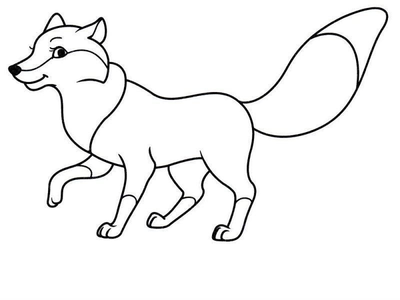 Volpe · 9, disegno da stampare e colorare